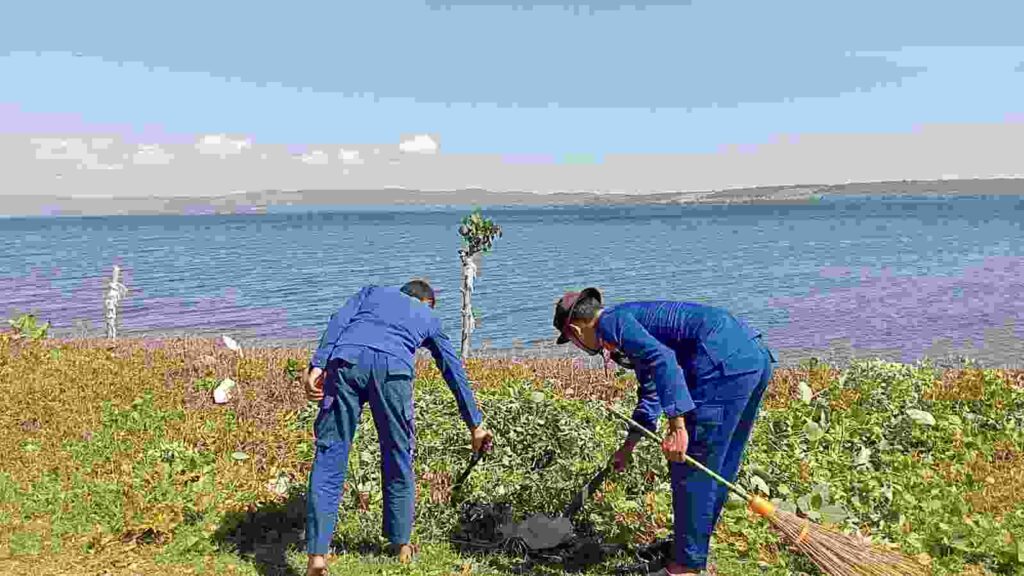 TNI-Polri Bersihkan Sampah dan Rumput Liar di Wilayah Desa Calabai 2 IMG 20260510 WA0013
